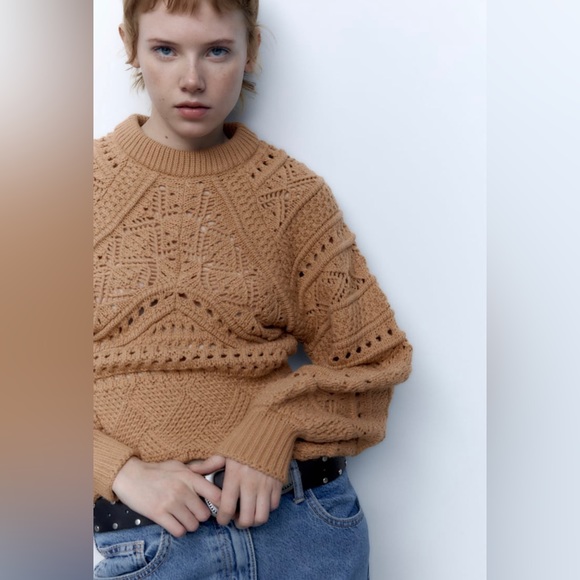 Zara Taupe Brown Wool Blend Open
Knit Sweater - Picture 8 of 11